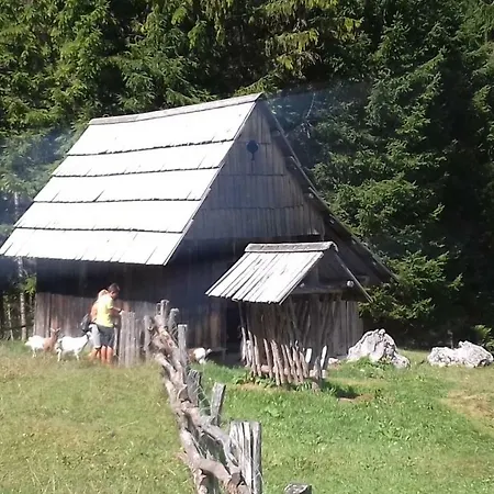 Hisa Pod Gorami**** - House With Wellness 克拉尼斯卡戈拉