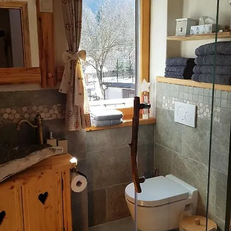 Hisa Pod Gorami**** - House With Wellness 别墅 克拉尼斯卡戈拉