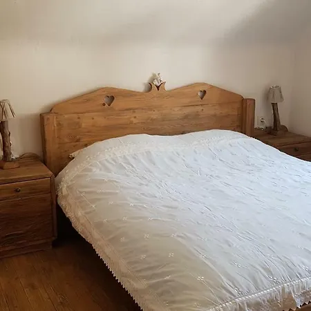 Hisa Pod Gorami**** - House With Wellness
