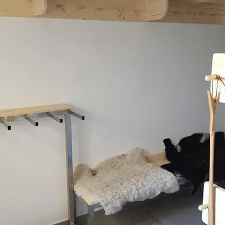Hisa Pod Gorami**** - House With Wellness 克拉尼斯卡戈拉