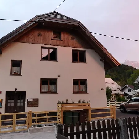 Hisa Pod Gorami**** - House With Wellness 别墅 *