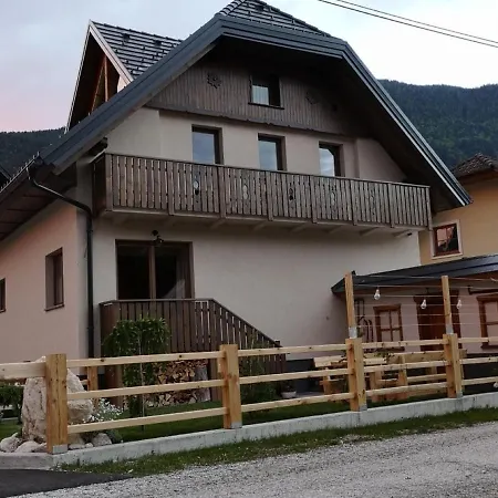 Hisa Pod Gorami**** - House With Wellness * 克拉尼斯卡戈拉